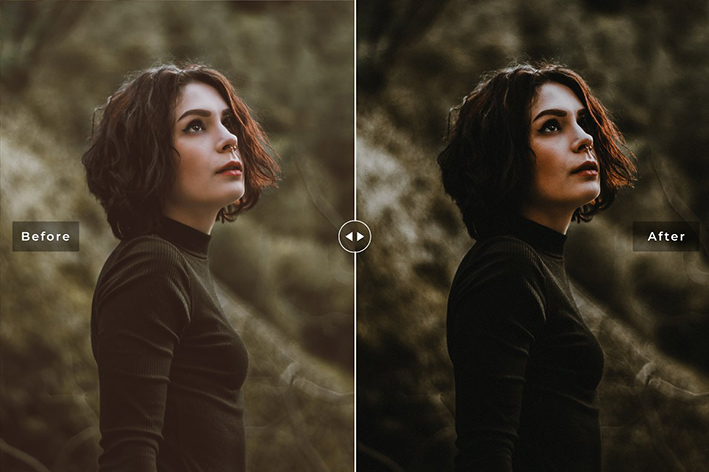 دانلود پریست لایت روم و Camera Raw و اکشن: Dark Moody Lightroom Presets