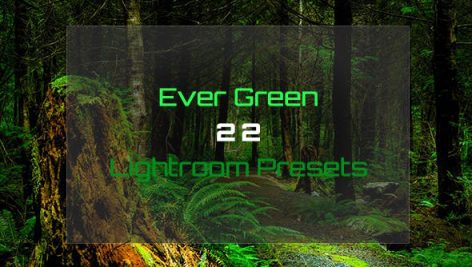
دانلود ۲۰ پریست لایت روم : Ever Green 22 Lightroom Presets