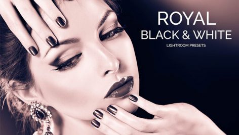 
دانلود ۲۰ پریست لایت روم حرفه ای : Royal Black White Lightroom Presets