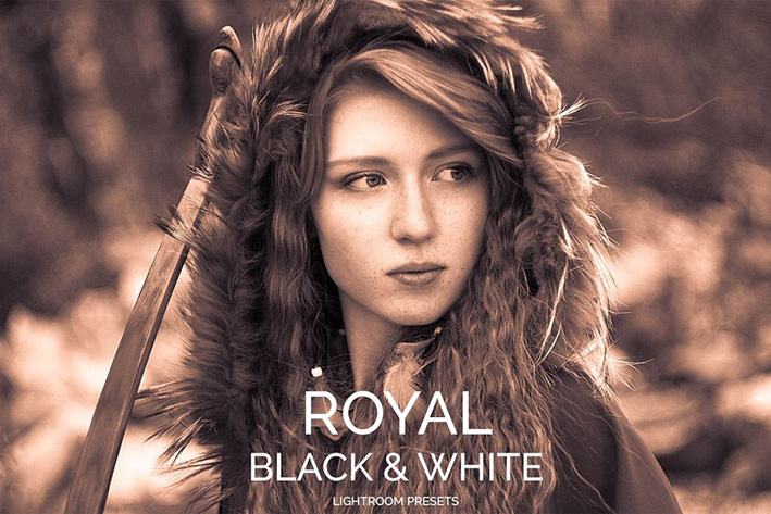 دانلود 20 پریست لایت روم حرفه ای : Royal Black White Lightroom Presets