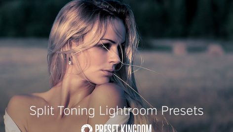 
دانلود ۲۳ پریست لایت روم زیبا : Split Toning Lightroom Presets
