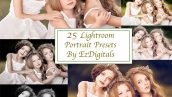 دانلود 25 پریست لایت روم creativemarket Portrait 25 Lightroom Presets