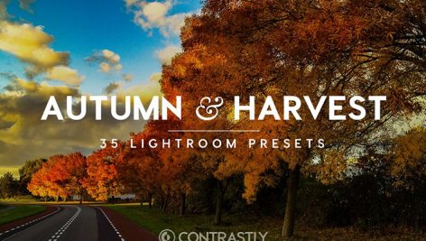 دانلود ۳۵ پریست لایت روم پاییزی :Autumn Harvest LR Presets Vol.1