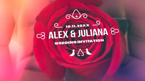 دانلود 40 تایتل آماده عروسی برای پریمیر Minimal Luxury Wedding Titles