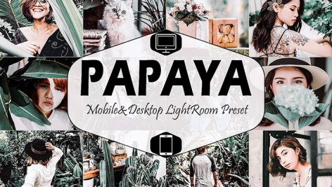 دانلود پریست لایت روم دسکتاپ و موبایل Papaya Mobile Desktop Lightroom Presets (1)