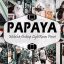 دانلود پریست لایت روم دسکتاپ و موبایل Papaya Mobile Desktop Lightroom Presets (1)