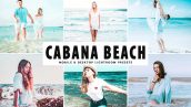 دانلود پریست لایت روم و Camera Raw و اکشن: Cabana Beach Lightroom Presets
