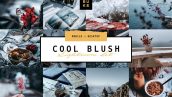 دانلود پریست رنگی لایت روم دسکتاپ و موبایل : Cool Blush Lightroom Presets Pack