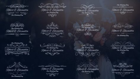 دانلود ۱۶ تایتل آماده متن پریمیر مخصوص عروسی : Wedding Calligraphic Titles