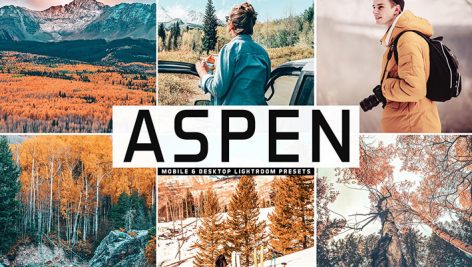 دانلود پریست لایت روم و Camera Raw و اکشن: Aspen Pro Lightroom Presets
