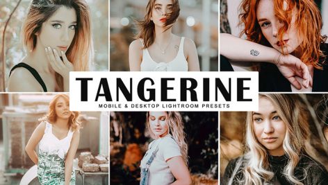 دانلود پریست لایتروم و Camera Raw و اکشن: Tangerine Lightroom Presets Pack