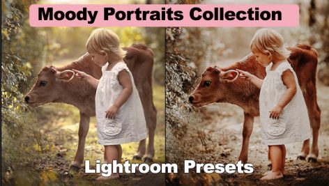 دانلود مجموعه 21 پریست لایت روم : Moody Portraits Collection Lightroom Presets