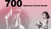 دانلود پریست لایت روم 700 عددی دسکتاپ : Lightroom Presets Bundle