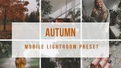 دانلود پریست لایت روم موبایل : تم پاییزی Lightroom Mobile Autumn Preset