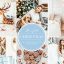 پریست لایت روم تم زمستانی و کریسمس Christmas Blogger Lightroom presets