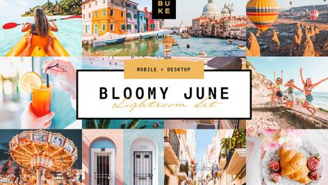 پریست لایت روم دسکتاپ و موبایل تم ماه گل Bloomy June Lightroom Preset