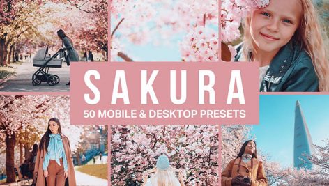 پریست لایت روم و لات رنگی تم صورتی Sakura Lightroom Presets and LUTs