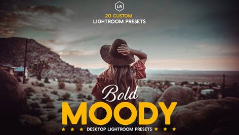 پریست لایت روم دسکتاپ تم غلظت رنگ Bold Moody Lightroom Presets