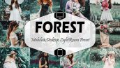 پریست لایت روم دسکتاپ و موبایل تم جنگل Forest Mobile And Desktop Lightroom Presets