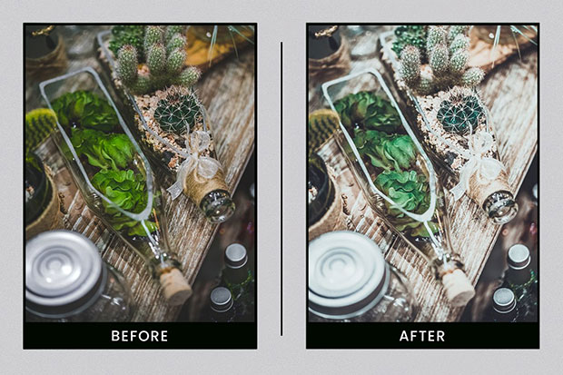 پریست لایت روم دسکتاپ و موبایل تم رنگ گیاهان Lightroom Presets Botanical Colors
