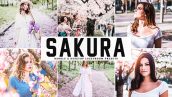 پریست لایت روم و Camera Raw و اکشن تم ساکارا Sakura Mobile And Desktop Lightroom Presets