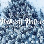 دانلود 20 پریست لایت روم تم رنگ طبیعت Natural Nature Lightroom Presets