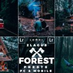 دانلود پریست لایت روم تم جنگل سبز Forest Moody Travel Presets for Mobile and Desktop Lightroom