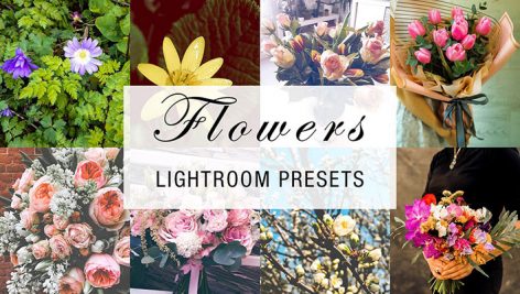 پریست لایت روم دسکتاپ و موبایل تم گل flowers lightroom presets