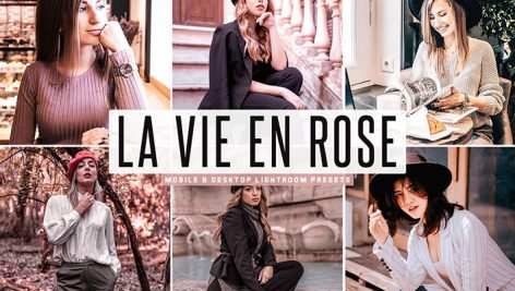 پریست لایت روم و Camera Raw و اکشن تم گل سرخ La Vie En Rose Mobile & Desktop Lightroom Presets