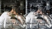 15 پریست لایت روم و کمرا راو نقره ای خاکستری Silver Grey Lightroom Preset