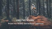 پریست لایت روم ORENG DARK Preset For Mobile and Desktop Lightroom