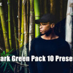 پریست لایت روم دسکتاپ و موبایل تم سبز تیره Dark Green Pack 10 Presets