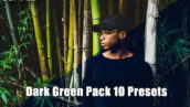 پریست لایت روم دسکتاپ و موبایل تم سبز تیره Dark Green Pack 10 Presets
