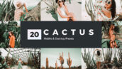 پریست لایت روم و پریست کمرا راو و لات رنگی کاکتوس Cactus Lightroom Presets and LUTs (1)