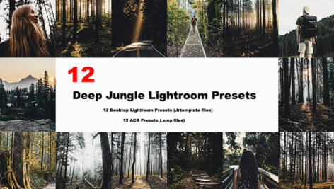 24 پریست لایت روم و Camera Raw تم جنگل Deep Jungle Lightroom Presets