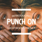 پریست لایتر وم حرفه ای دسکتاپ و موبایل Punch On Lightroom Preset