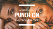 پریست لایتر وم حرفه ای دسکتاپ و موبایل Punch On Lightroom Preset
