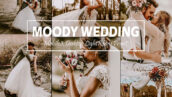 20 پریست لایت روم حرفه ای عروس پاییز Moody Wedding Mobile & Desktop Lightroom Presets Fall LR