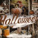 20 پریست لایت روم دسکتاپ و موبایل تم جشن هالووین Halloween presets & Horror Lightroom presets