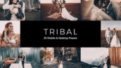 20 پریست لایت روم عروسی و پریست کمرا راو و لات رنگی Tribal Lightroom Presets & LUTs