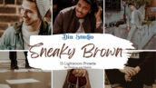 30 پریست لایت روم حرفه ای تم قهوه ای Sneaky Brown Lightroom Presets