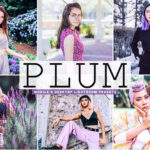 40 پریست لایت روم و پریست کمرا راو و اکشن فتوشاپ تم بنفش Plum Pro Lightroom Presets