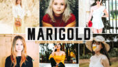 40 پریست لایت روم و کمرا راو و اکشن فتوشاپ تم بهاری Marigold Pro Lightroom Presets