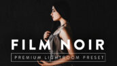 9 پریست لایت روم حرفه ای تم فیلم سیاه FILM NOIR Pro Lightroom Preset