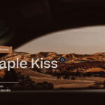 پریست لایت روم حرفه ای موبایل و دسکتاپ Maple Kiss Lightroom Presets