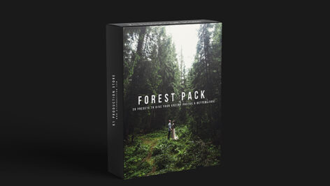 20 پریست حرفه ای لایت روم تم جنگل سبز K1 Forest Pack Presets