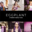 20 پریست لایت روم و پریست کمرا راو و لات رنگی تم رنگی بادمجانی Eggplant Lightroom Presets & LUTs