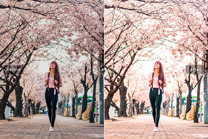 34 پریست لایت روم و Camera Raw و اکشن فتوشاپ تم شکوفه گیلاس Cherry Blossom Lightroom Presets