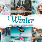 60 پریست لایت روم زمستان و پریست کمرا راو فتوشاپ Winter Premium Lightroom Presets