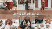 10 پریست لایت روم حرفه ای تم رنگی رنجبیل Gingerbread Lightroom Presets